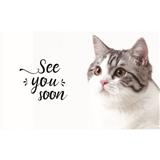 COSSY PLUS DIATOMITE MAT CP-P1-CAT 40X30CM