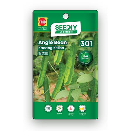 TRIO SEEDIY ANGLE BEAN SEED