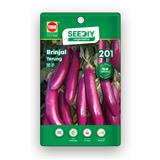 TRIO SEEDIY BRINJAL SEED