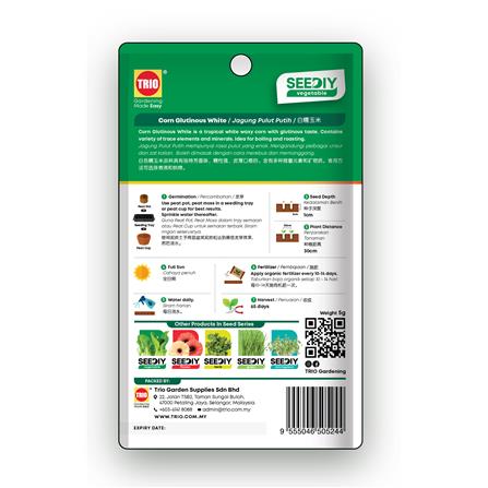 TRIO SEEDIY CORN GLUTINOUS WHITE SEED