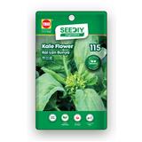 TRIO SEEDIY KALE FLOWER SEED