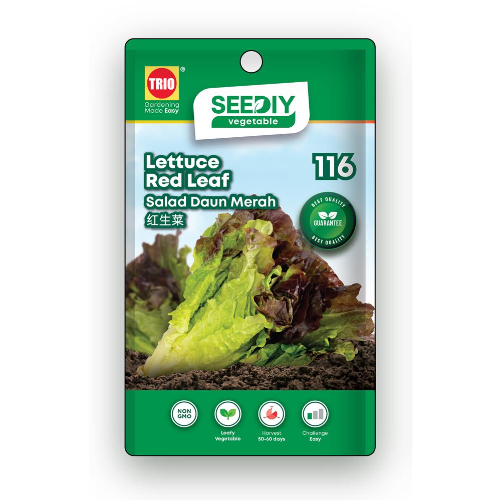 Trio Java Seed TRIO SEEDIY LETTUCE RED LEAF SEED