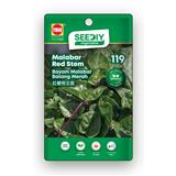 TRIO SEEDIY MALABAR RED STEM SEED