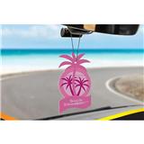 HANGING CALIFORNIA SCENTS CAR INTERIOR CARE