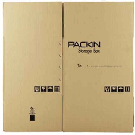 PACK IN CARTON BOX 45X55X40CM (KI PAPER)