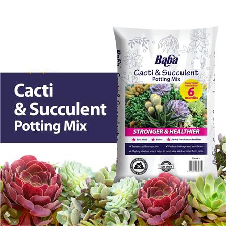 BABA CACTI & SUCCULENT POTTING MIX 7L