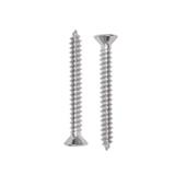 DEXZON SELF TAPPING SCREW TF 6X1-1/4INCH