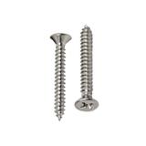DEXZON TF SELF TAPPING SCREW 6X3/4INCH