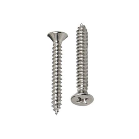 DEXZON TF SELF TAPPING SCREW 6X3/4INCH