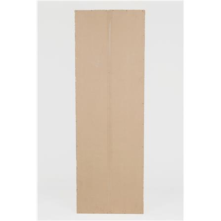 BOOKCASE BC-6035180-22 OAK