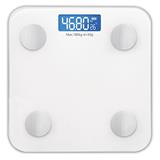 RUSSELL TAYLORS SCALE BWS-10 DIGITAL