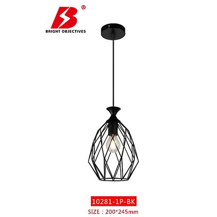 BRIGHT OBJECTIVES CHANDELIER 10281-1P-BK 200MM BLACK