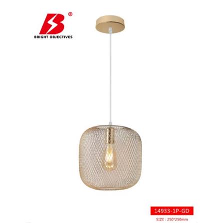 BRIGHT OBJECTIVES CHANDELIER 14933-1P-GD 250MM GOLD