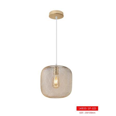 BRIGHT OBJECTIVES CHANDELIER 14933-1P-GD 250MM GOLD