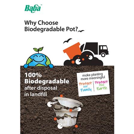 BABA BIO POT BI-NB-340 POT MORANDI PURPLE