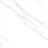 TARA FLOORTILE 60X60CM WHITE CALACATA 1.44M2