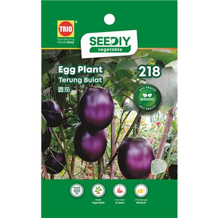 TRIO SY EGG PLANT