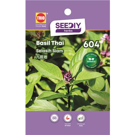 TRIO SY HERBS BASIL THAI 604