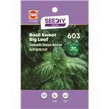 TRIO SY HERBS BASIL SWEET BIG LEAF 603