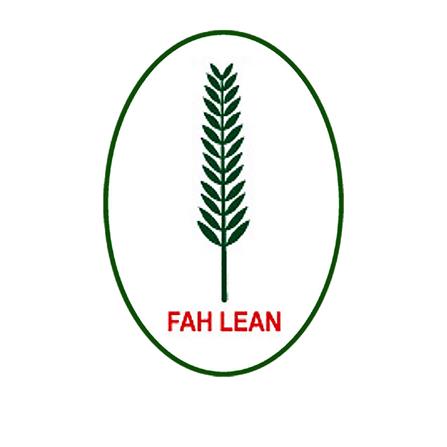 FAH LEAN FLOWER BUSH H55cm ARTIFICIAL FLOWER POT