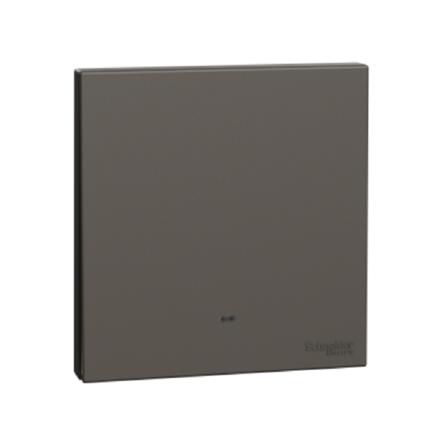 AVATARONC 1 GANG 1 WAY SWITCH DG SCHNEIDER