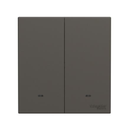 AVATARONC 2 GANG 2 WAY SWITCH DG SCHNEIDER