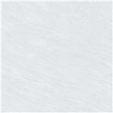 CITIGRES FLOORTILE MATT SURFACE 60X60CM LIGHT GREY CGM66081 1.44M2