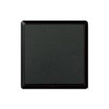 16A 1G 2W SWITCH HC2711-2-SBL INFINIT T&J