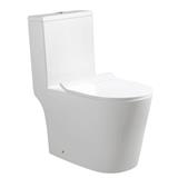 AKRON 1P TOILET TORNADO FLUSH SYSTEM 139Z-WCO736/S 4.5/3L WH