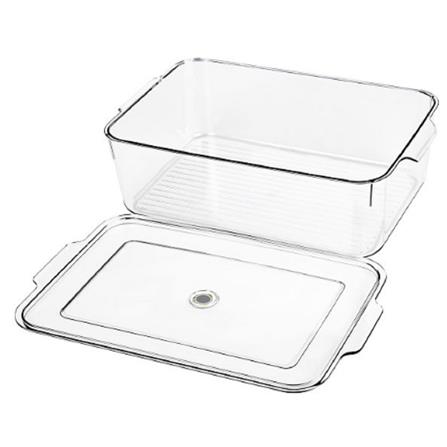 FRIDGE BOX WITH LID 21.5X33.5X10CM SNOWY CLEAR