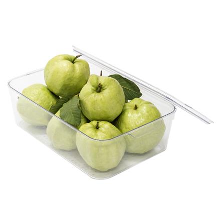 FRIDGE BOX WITH LID 21.5X33.5X10CM SNOWY CLEAR
