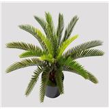 ARTIFICIAL POTTED CYCAS PLANT 50CM H