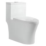 LIVINOX TOILET ONE-PIECE WATER CLOSET LWC-609-250 6/3L WHITE