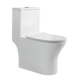 LIVINOX TOILET ONE-PIECE WATER CLOSET LWC-618-250 WHITE 6/3L