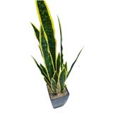 CL SNAKE  POTTED PLANT GP523