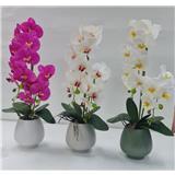 CL ARTIFICIAL ORCHID POTTED FLOWER GF302