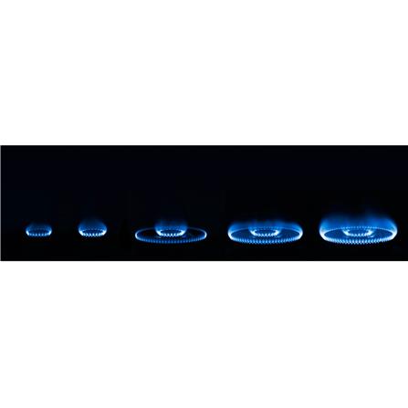 RINNAI FLEXIBLE GAS HOB RB-72G 2BURNER 5.5KW 77CM