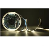LEDEON 24V 6500 LED STRIP (5M) 2835 DAY LIGHT