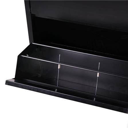 STEEL CABINET WITH SWING DOORS SW-102 BLACK [EXCLUSIVE FROM HOMEPRO THAILAND]