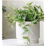 CL STRIPED CERAMIC POT GQ133-WE H12.3CM