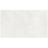 GUOCERA VERTICAS 60X120CM CONCRETI VX-CCT1NR BONE NATURAL MATT 1.44M2