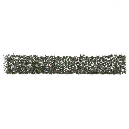 EXPANDING TRELLIS SPRING PHOTIN 200X100CM [EXCLUSIVE FROM HOMEPRO THAILAND]