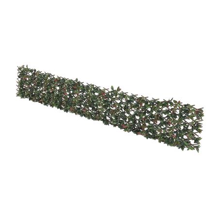 EXPANDING TRELLIS SPRING PHOTIN 200X100CM [EXCLUSIVE FROM HOMEPRO THAILAND]