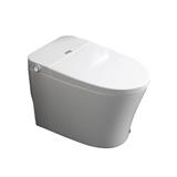 MD 1P TOILET MINIMA PLUS 250 5L WHITE