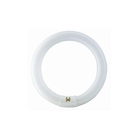 MINLITE 32W T9 FLUORESCENT CIRCULAR TUBE DAYLIGHT 6500K