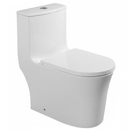 AKRON 1P TOILET WCO-89001 CYCLONE FLUSH S-TRAP 250MM WHITE