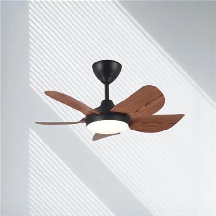 RIEGEN CEILING FAN RCF-MINI30-5BL-BC 30-INCH BLACK CHESTNUT
