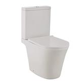 JOHNSON SUISSE VICENZA RIMLESS 2P TOILET WBSC950170WW S-TRAP 250MM