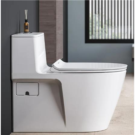 AMERICAN STANDARD ACACIA SUPASLEEK ONE PIECE TOILET CL20075-6DAMYCBT S-TRAP 305MM