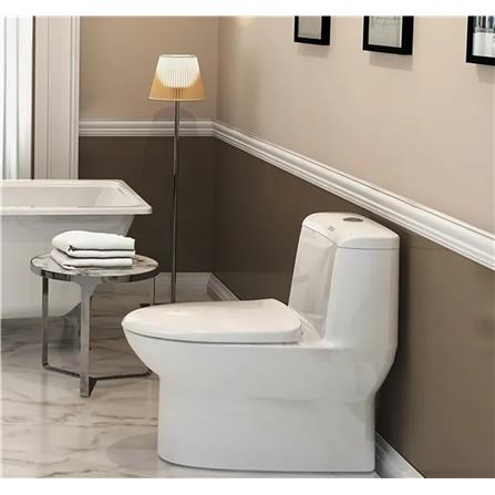 AMERICAN STANDARD ACACIA SUPASLEEK TWO PIECE TOILET CL23075-6DAMYCBT S-TRAP 300MM